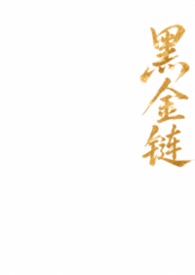 黑金链条圣罗兰包